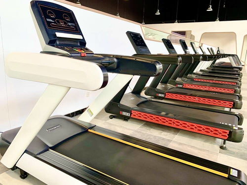 德州行 運河文化、書畫藝術與扎染魅力